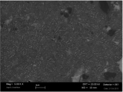 Microstructure of the sintered pellet obtained using TyGReSiC